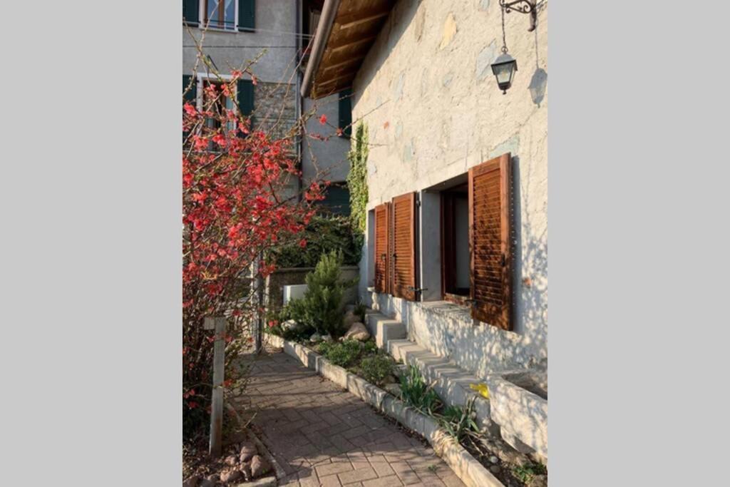 Vila Nido Di Rongio Mandello del Lario Exteriér fotografie